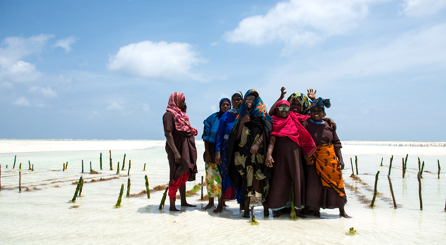 Seaweed Co. Zanzibar