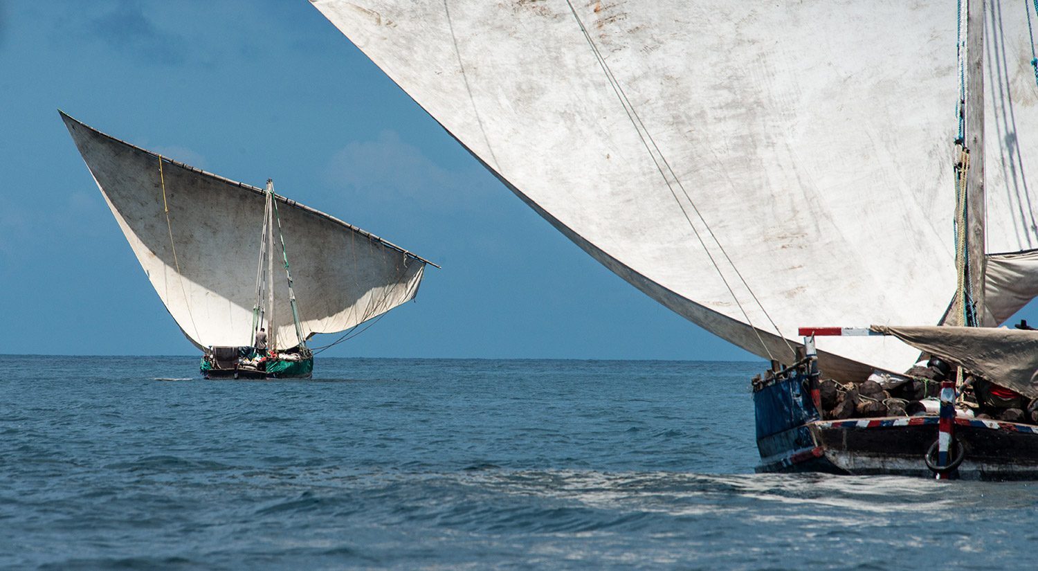Seaweed Co. Zanzibar