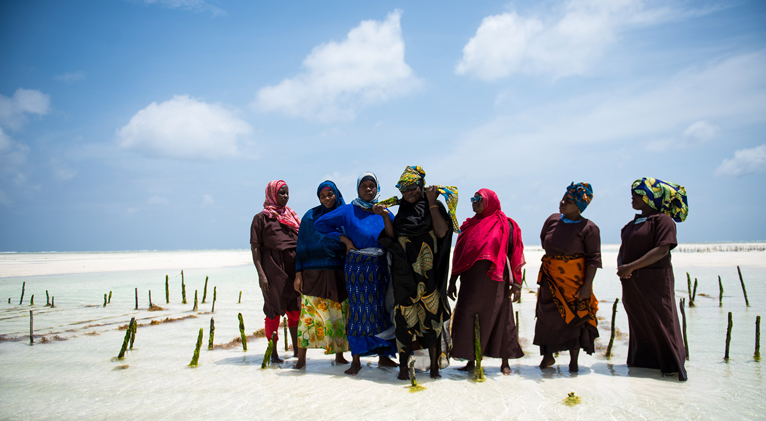 Seaweed Co. Zanzibar
