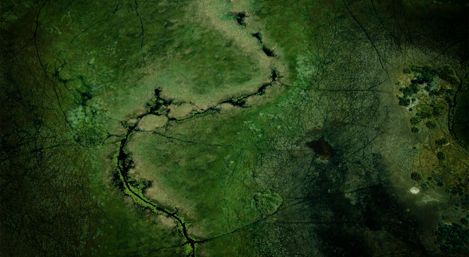 Okavango Delta, Botswana