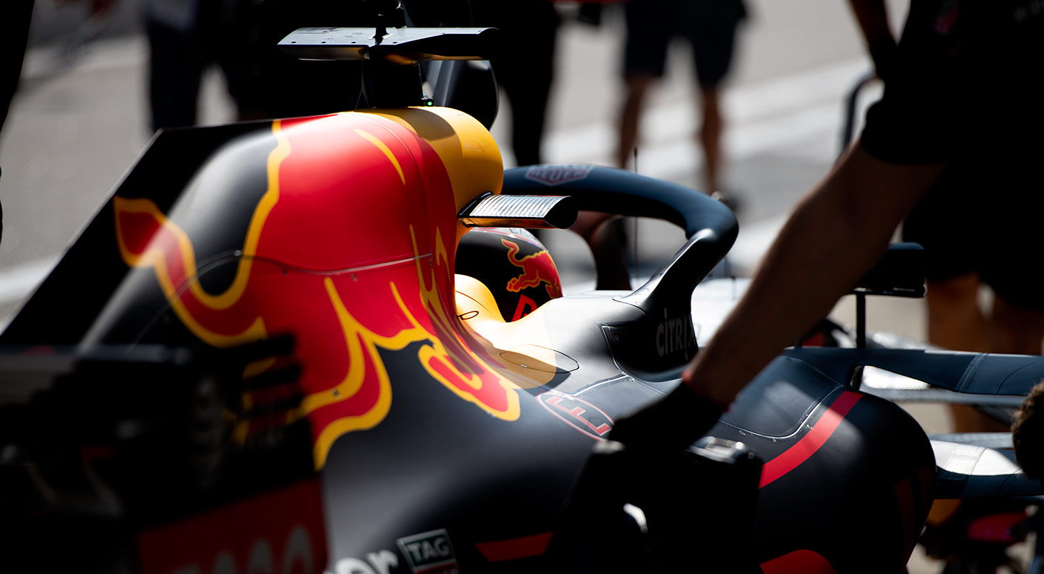 Daniel Ricciardo - Red Bull Racing, Sochi,  2018